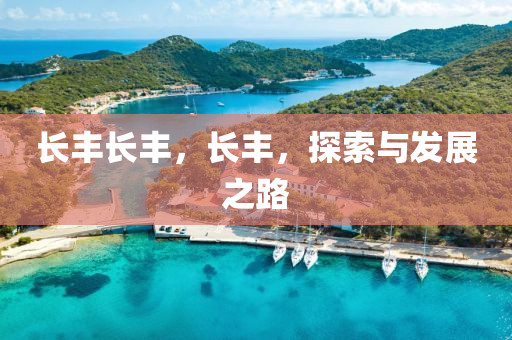 長豐長豐，長豐，探索與發(fā)展之路