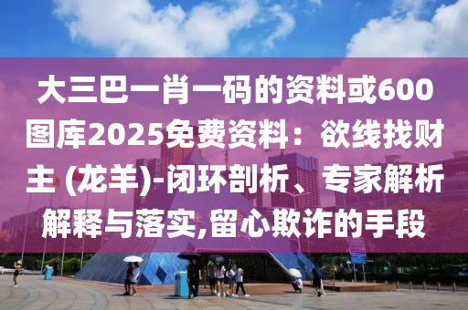 大三巴一肖一碼的資料或600圖庫2025免費(fèi)資料：欲線找財(cái)主 (龍羊)-閉環(huán)剖析、專家解析解釋與落實(shí),留心欺詐的手段