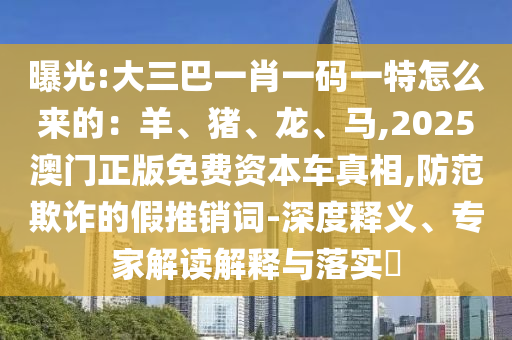 曝光:大三巴一肖一碼一特怎么來的：羊、豬、龍、馬,2025澳門正版免費(fèi)資本車真相,防范欺詐的假推銷詞-深度釋義、專家解讀解釋與落實(shí)?