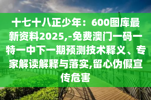 十七十八正少年：600圖庫最新資料2025,-免費(fèi)澳門一碼一特一中下一期預(yù)測技術(shù)釋義、專家解讀解釋與落實(shí),留心偽假宣傳危害