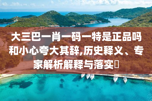 大三巴一肖一碼一特是正品嗎和小心夸大其辭,歷史釋義、專家解析解釋與落實(shí)?