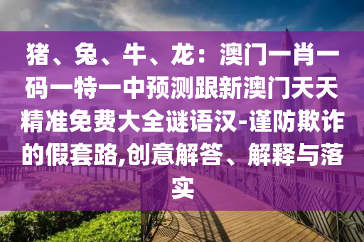 豬、兔、牛、龍：澳門一肖一碼一特一中預(yù)測(cè)跟新澳門天天精準(zhǔn)免費(fèi)大全謎語漢-謹(jǐn)防欺詐的假套路,創(chuàng)意解答、解釋與落實(shí)