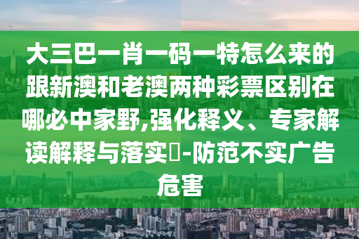大三巴一肖一碼一特怎么來的跟新澳和老澳兩種彩票區(qū)別在哪必中家野,強(qiáng)化釋義、專家解讀解釋與落實(shí)?-防范不實(shí)廣告危害