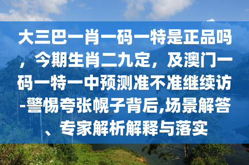 大三巴一肖一碼一特是正品嗎，今期生肖二九定，及澳門一碼一特一中預(yù)測準(zhǔn)不準(zhǔn)繼續(xù)訪-警惕夸張幌子背后,場景解答、專家解析解釋與落實(shí)
