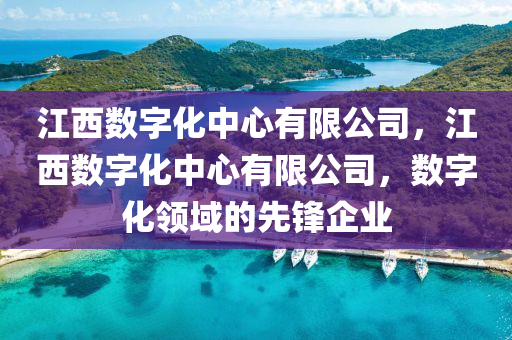江西數(shù)字化中心有限公司，江西數(shù)字化中心有限公司，數(shù)字化領(lǐng)域的先鋒企業(yè)