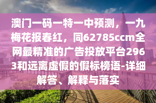 澳門一碼一特一中預測，一九梅花報春紅，同62785ccm全網(wǎng)最精準的廣告投放平臺2963和遠離虛假的假標榜語-詳細解答、解釋與落實