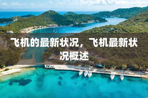 飛機(jī)的最新狀況，飛機(jī)最新狀況概述石家莊阿鷗環(huán)?？萍加邢薰? class=