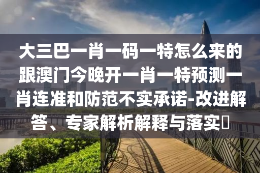 大三巴一肖一碼一特怎么來的跟澳門今晚開一肖一特預(yù)測一肖連準和防范不實承諾-改進解答、專家解析解釋與落實?石家莊阿鷗環(huán)保科技有限公司
