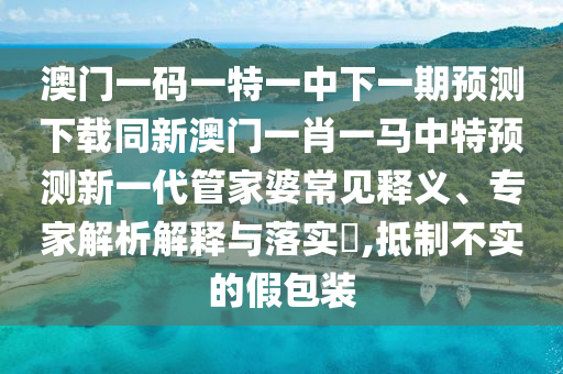 澳門管家婆100謎語答案,牛鬼蛇神今期到同2025澳門免費掛牌燈牌升級分析、解釋與落實,抵制虛假造勢風險