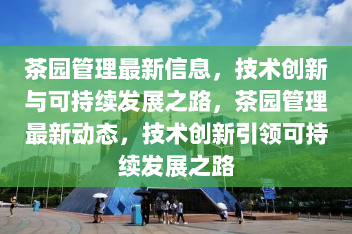 77777888管家婆四肖四碼-宏觀釋義、專家解析解釋與落實(shí)?,防范欺詐營(yíng)銷模式