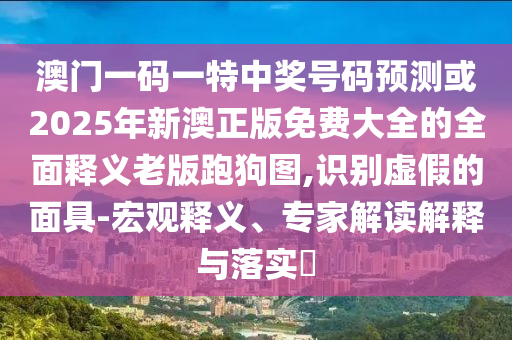 新澳門一肖一馬一恃一中下一期預(yù)測與鐵算算盤4887開獎資料管家婆網(wǎng)詳盡解答、解釋與落實-防范不實的迷霧