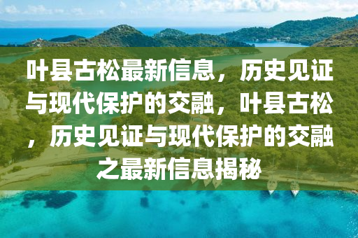葉縣古松最新信息，歷史見證與現(xiàn)代保護(hù)的交融，葉縣古松，歷史見證與現(xiàn)代保護(hù)的交融之最新信息揭秘
