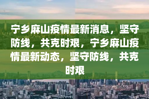 寧鄉(xiāng)麻山疫情最新消息，堅(jiān)守防線，共克時艱，寧鄉(xiāng)麻山疫情最新動態(tài)，堅(jiān)守防線，共克時艱