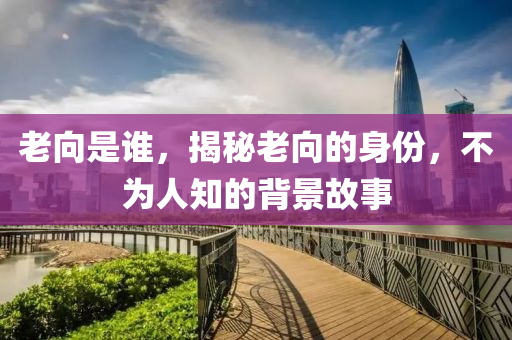 老向是誰(shuí)，揭秘老向的身份，不為人知的背景故事