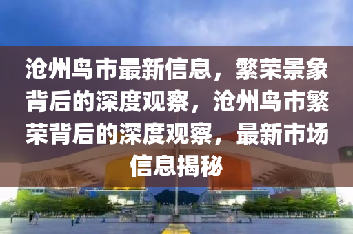 滄州鳥市最新信息，繁榮景象背后的深度觀察，滄州鳥市繁榮背后的深度觀察，最新市場信息揭秘