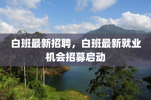 白班最新招聘，白班最新就業(yè)機會招募啟動