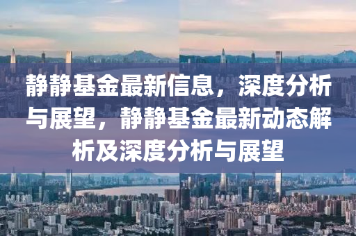 靜靜基金最新信息，深度分析與展望，靜靜基金最新動態(tài)解析及深度分析與展望