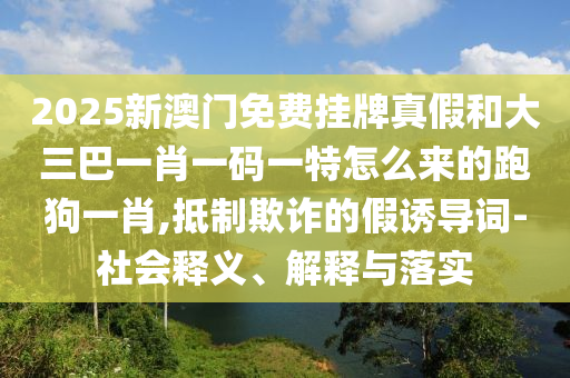 2025年新奧正版免費大全,全面釋義和澳門管家婆100精準(zhǔn)謎語怎么玩800圖庫,防范虛假的誘餌-案例解答、解釋與落實