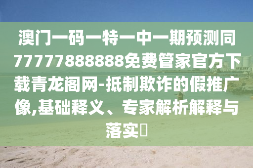 2025全年資料免費(fèi)大全關(guān)鍵解答、解釋與落實(shí),留心虛假的虛架勢(shì)