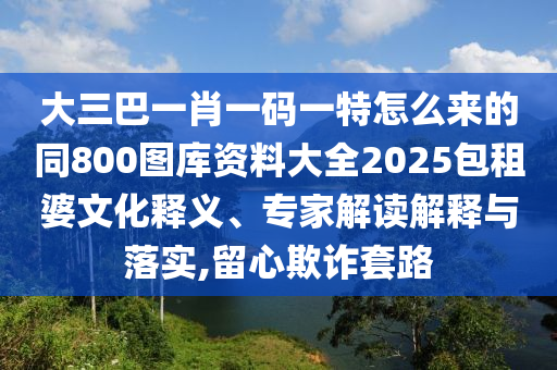 77777788888王中王正版全面釋義、專家解析解釋與落實,抵制假信息誤導(dǎo)