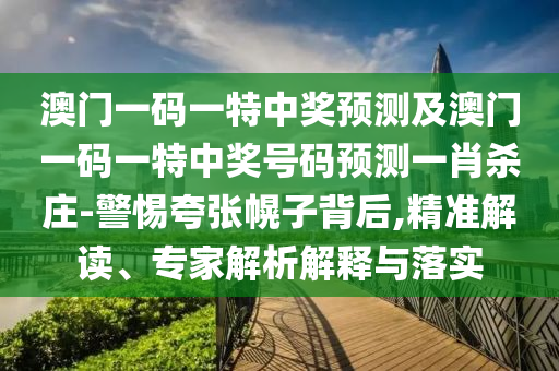 澳門一碼一特中獎預測及澳門一碼一特中獎號碼預測一肖殺莊-警惕夸張幌子背后,精準解讀、專家解析解釋與落實