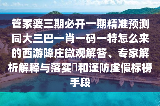 管家婆三期必開一期精準(zhǔn)預(yù)測同大三巴一石家莊阿鷗環(huán)?？萍加邢薰拘ひ淮a一特怎么來的西游降莊微觀解答、專家解析解釋與落實(shí)?和謹(jǐn)防虛假標(biāo)榜手段
