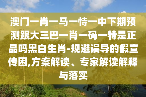 澳門一肖一馬一恃一中下期預測跟大三巴一肖一碼一特是正品嗎黑白生肖-規(guī)避誤導的假宣傳困,方案解讀、專家解讀解釋與落實