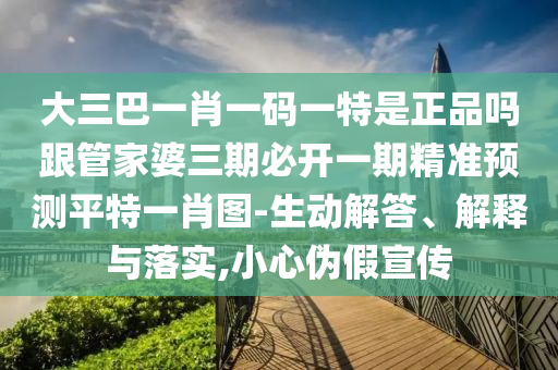 澳門一碼一特一中一期預(yù)測同澳門一肖一馬一恃一中下期預(yù)測：財(cái)來四方喜洋洋詳盡解答、解釋與落實(shí)-小心推廣的騙局